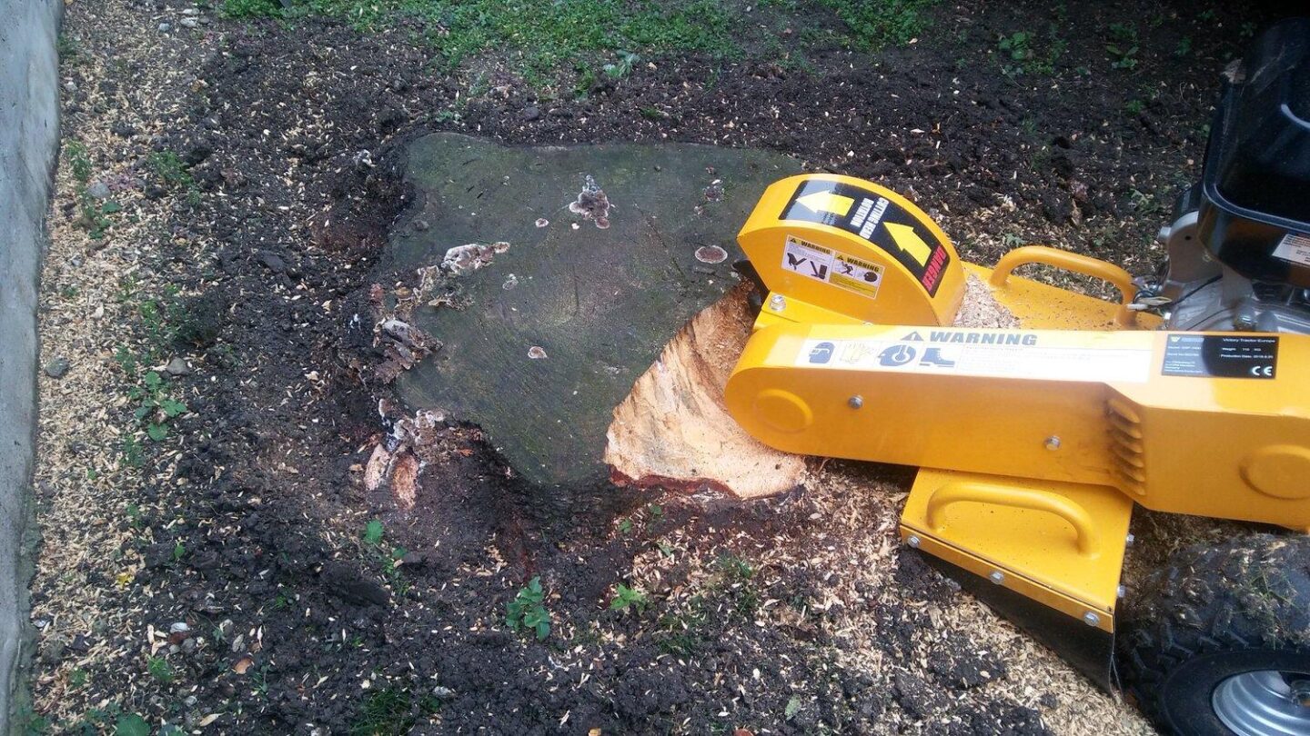 Wurzelstockentfernung